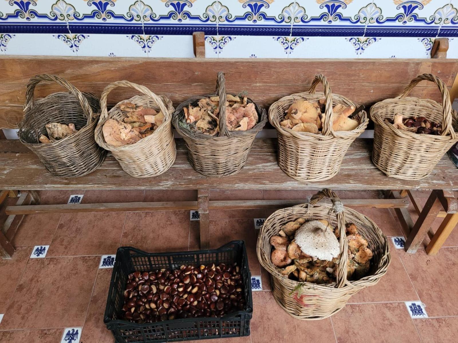 CasaviejaCasa Pozo Tarama别墅 外观 照片